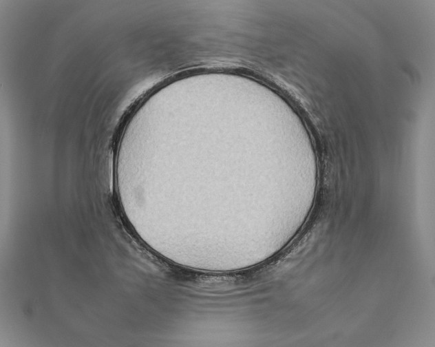 X0000111211171200907291245