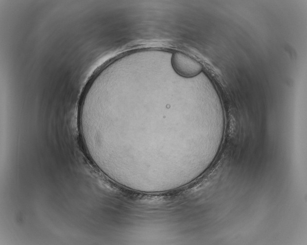 X0000111211174200907291245