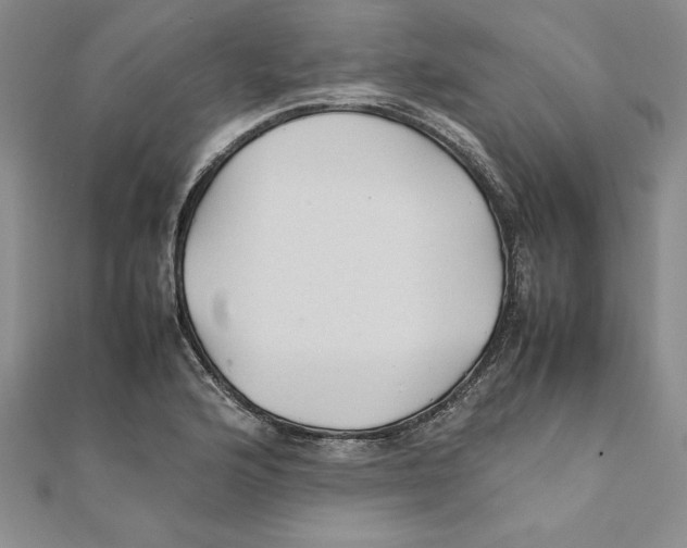 X0000111211176200907291245