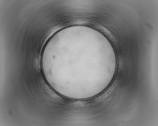 X0000111211178200907291245