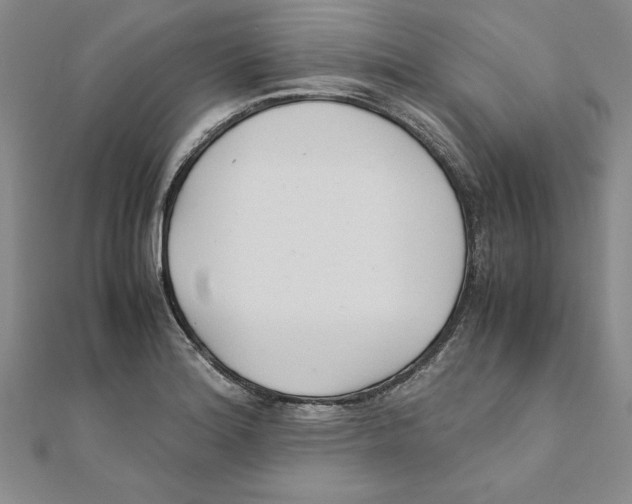 X0000111211180200907291245