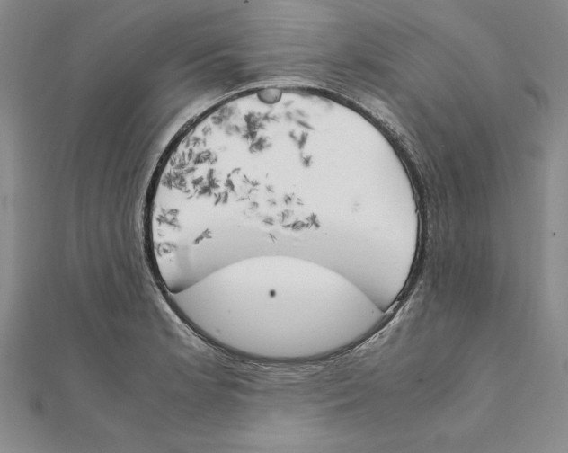 X0000111211181200907291245