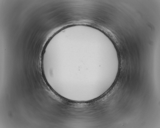 X0000111211184200907291245