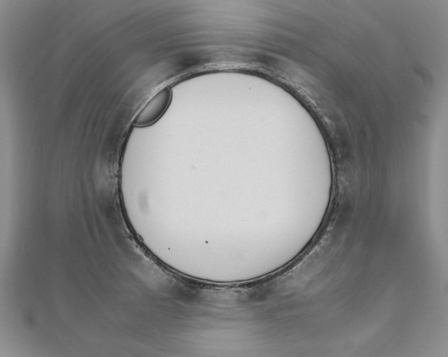 X0000111211185200907291245