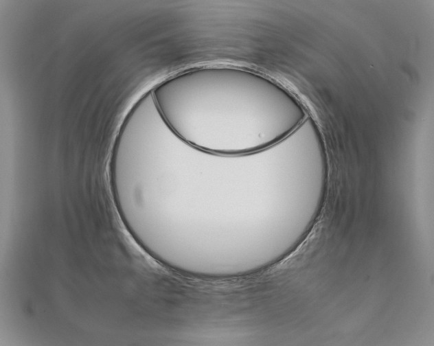 X0000111211189200907291245