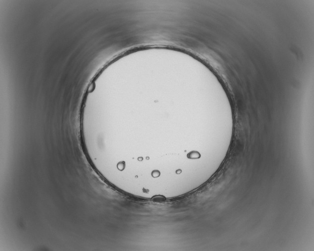 X0000111211191200907291245