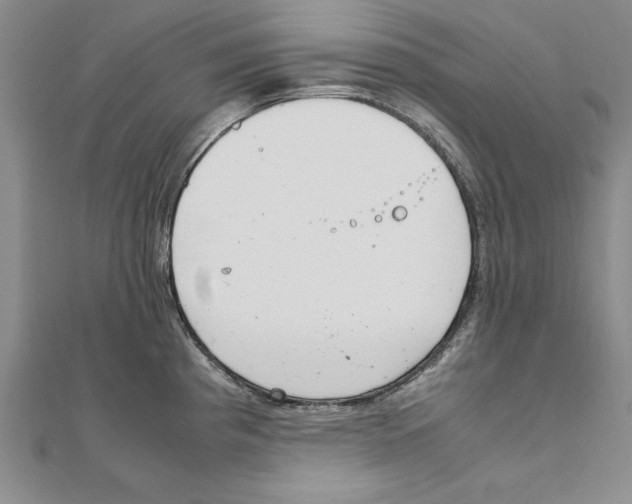 X0000111211193200907291245