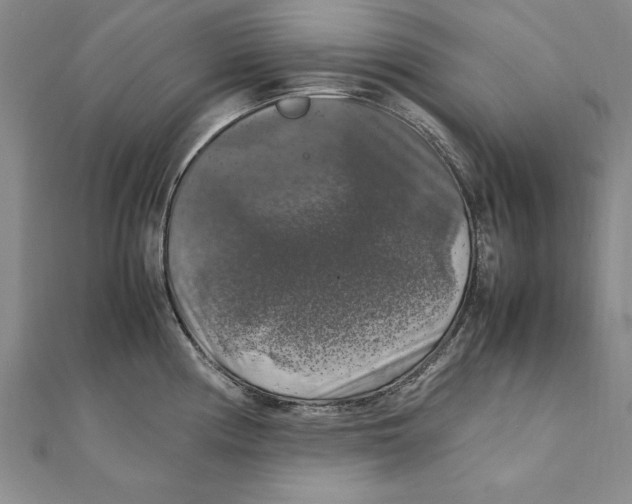 X0000111211194200907291244