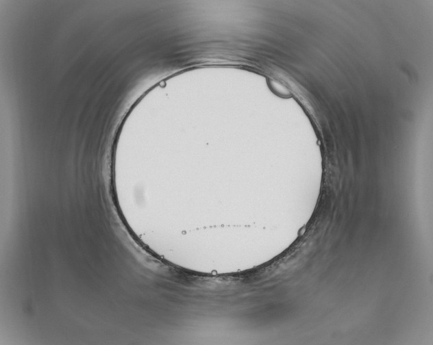 X0000111211195200907291244