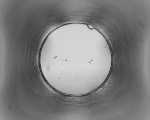 X0000111211197200907291244