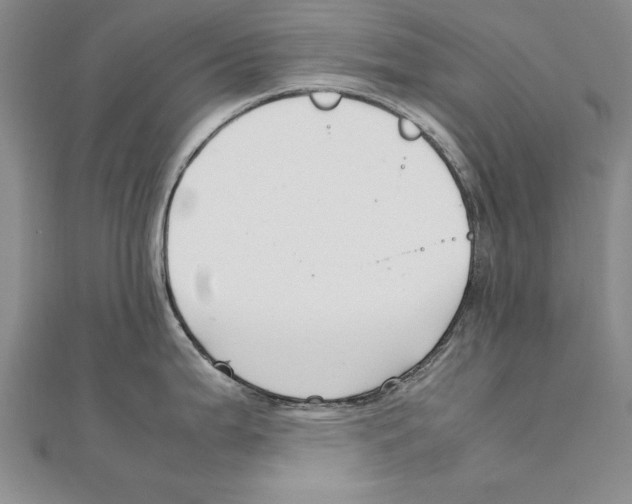 X0000111211199200907291244