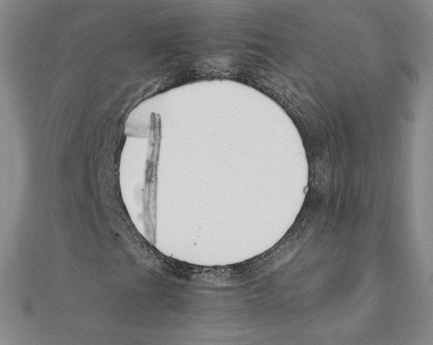 X0000111211201200907291244