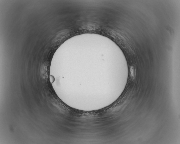 X0000111211203200907291244