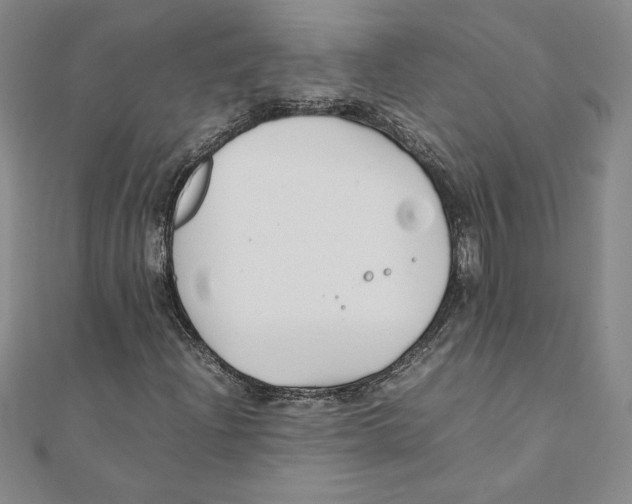 X0000111211204200907291244