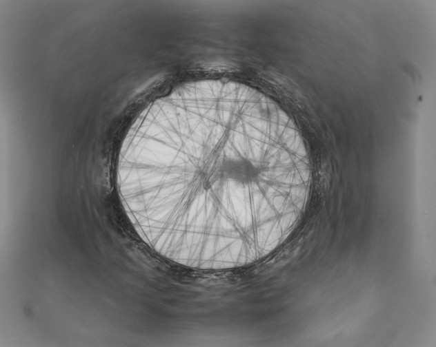 X0000111211205200907291244