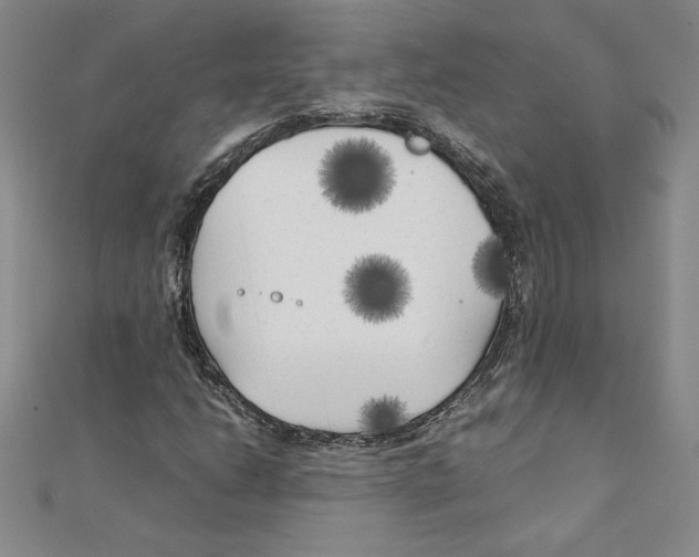 X0000111211206200907291244