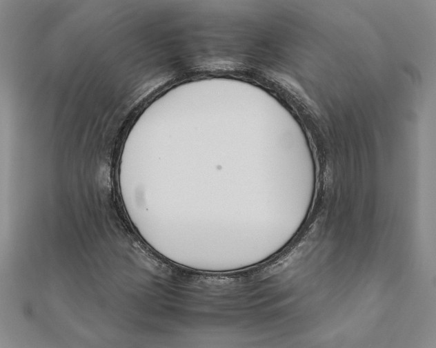 X0000111211209200907291244