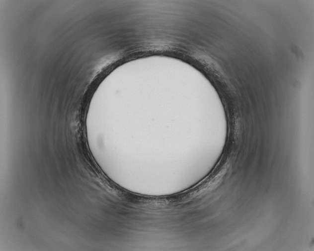 X0000111211210200907291244