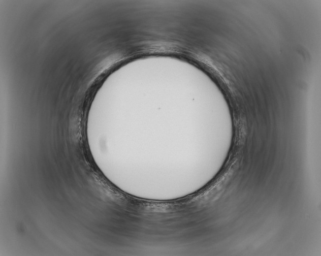 X0000111211211200907291244