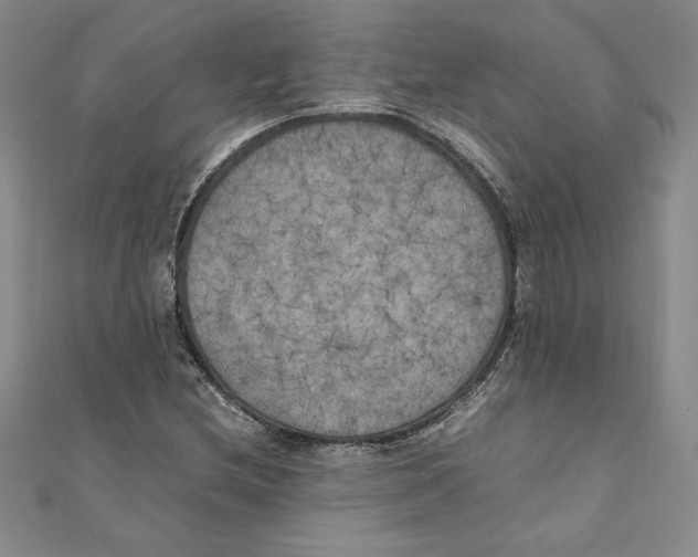 X0000111211212200907291244