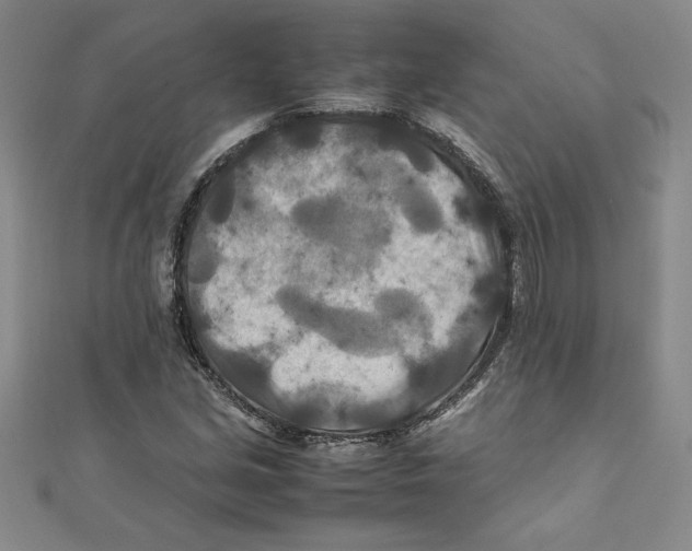 X0000111211213200907291244