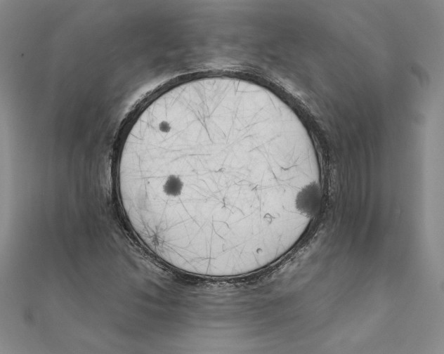X0000111211214200907291244