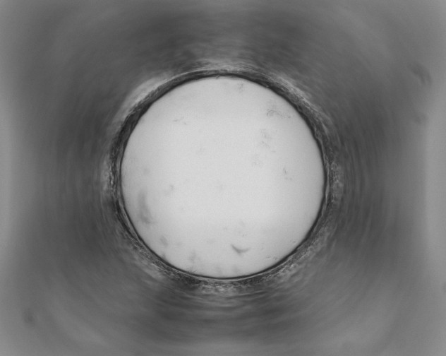 X0000111211215200907291244