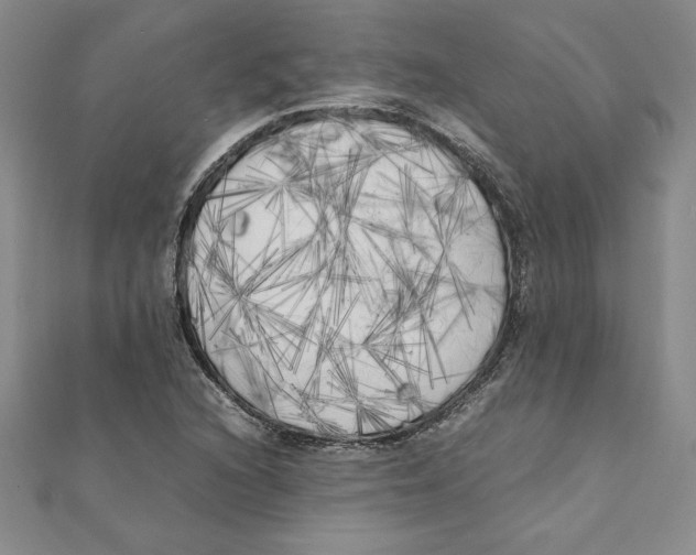 X0000111211216200907291244