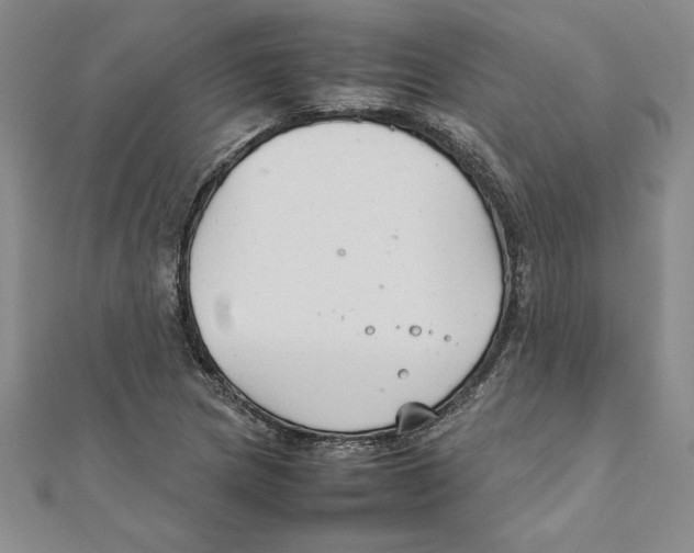 X0000111211217200907291244