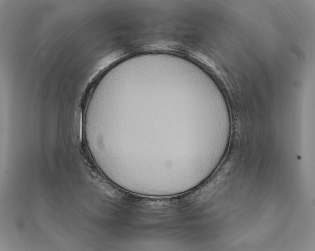 X0000111211219200907291244