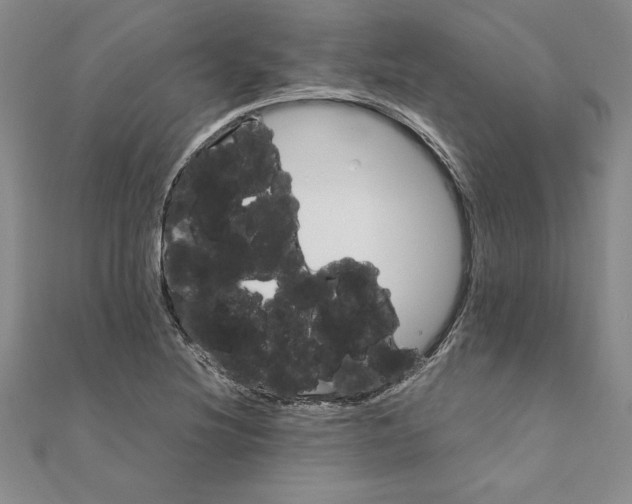 X0000111211220200907291244