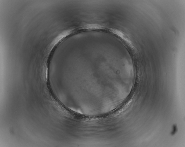 X0000111211221200907291244