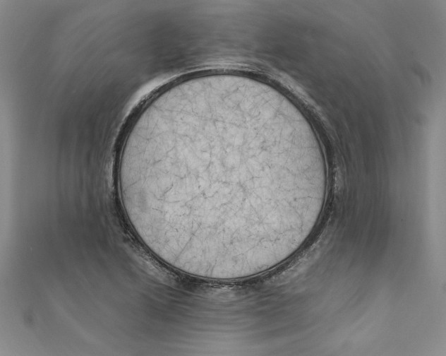 X0000111211222200907291244