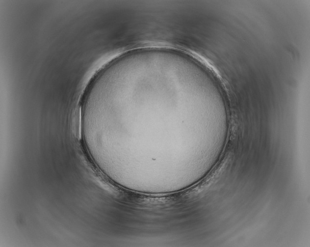 X0000111211223200907291244