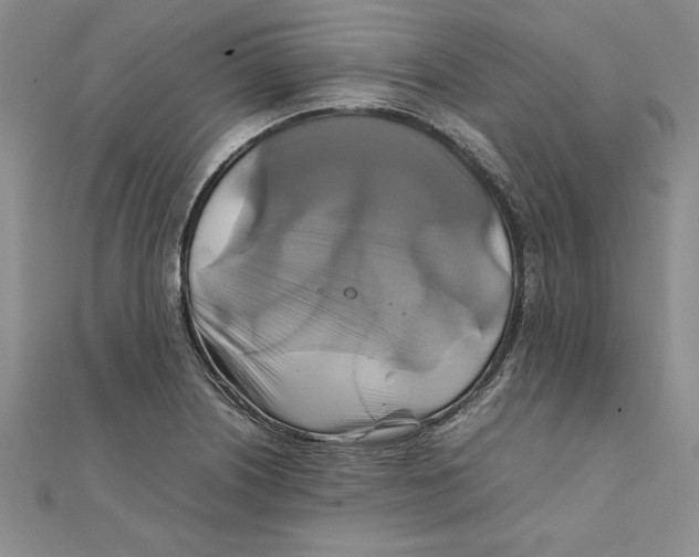 X0000111211226200907291244