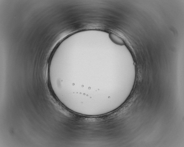 X0000111211227200907291244