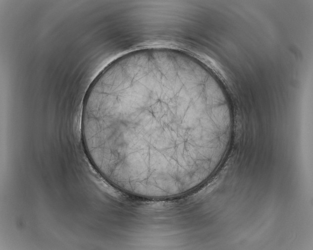 X0000111211228200907291244