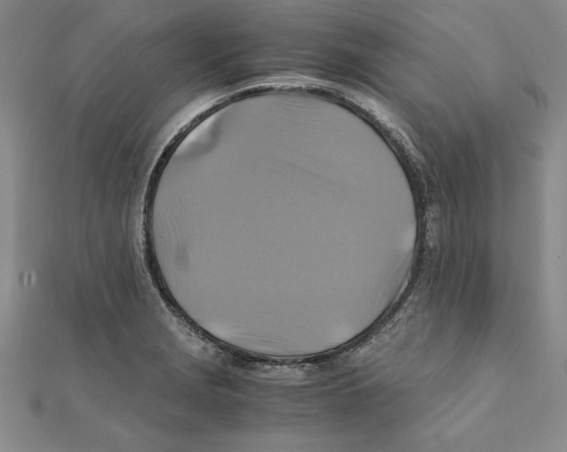 X0000111211229200907291244