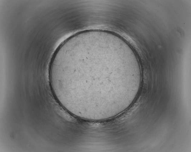 X0000111211230200907291244