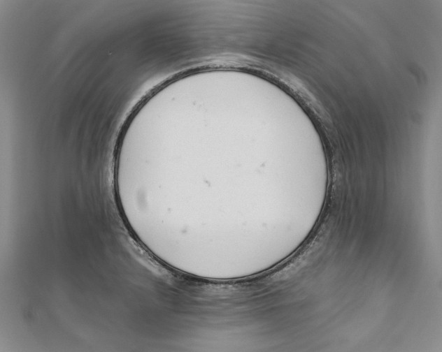 X0000111211232200907291244