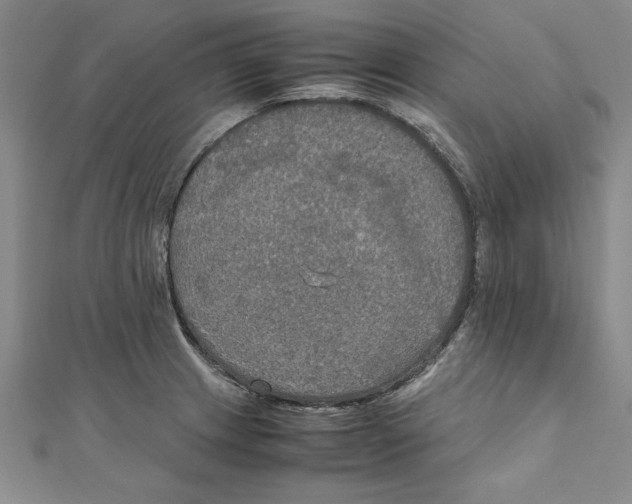 X0000111211233200907291244