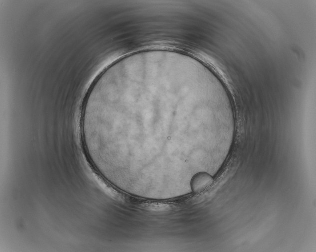 X0000111211235200907291244