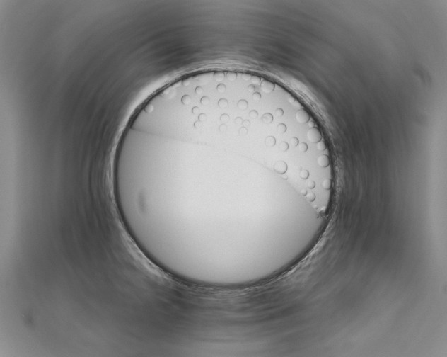 X0000111211238200907291244