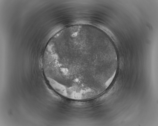 X0000111211241200907291244