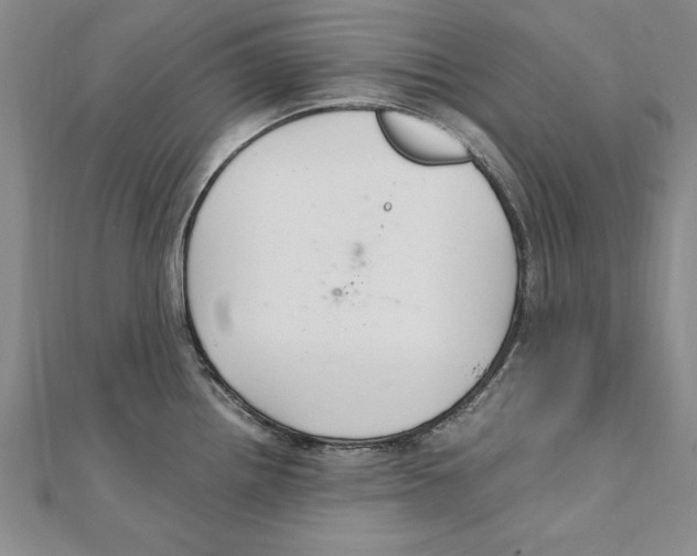 X0000111211242200907291244