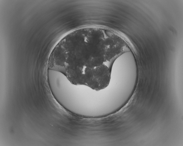 X0000111211244200907291244