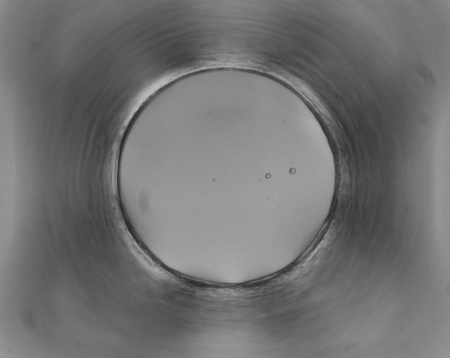 X0000111211246200907291244