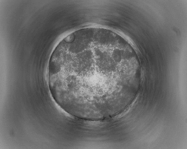 X0000111211247200907291244