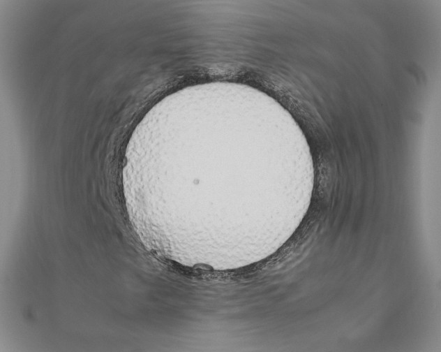 X0000111211249200907291244