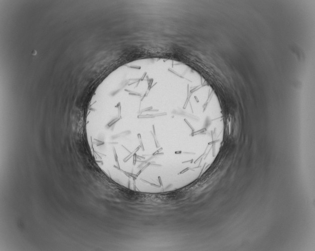 X0000111211251200907291244